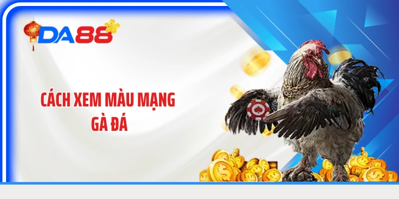 Cách Xem Màu Mạng Gà Đá Theo Ngũ Hành Chuẩn Nhất