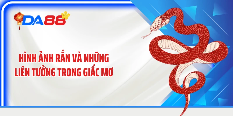 Hình ảnh rắn và những liên tưởng trong giấc mơ